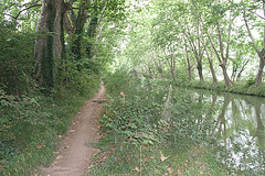 Canal du Midi entre Vias et Agde