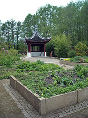 Chinesischer Heilkräutergarten