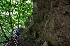 im Naturschutzgebiet Bodetal