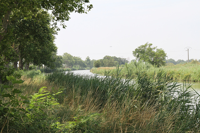 Canal du Midi au pont de Portiragnes-plage