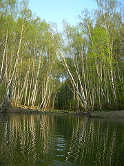 Spring in Moscow 2010