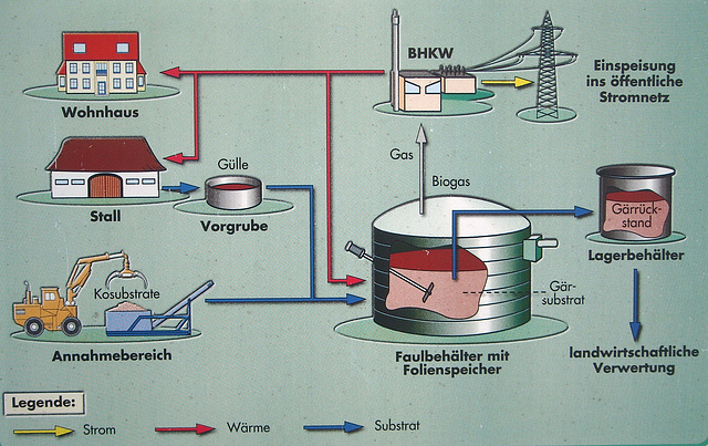 Schema einer einstufigen Biomassenanlage