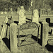 Old Burt cemetery /  Cimetière Old Burt - Près de Essex, NY- USA.  23 avril 2010  - Photo ancienne / Vintage