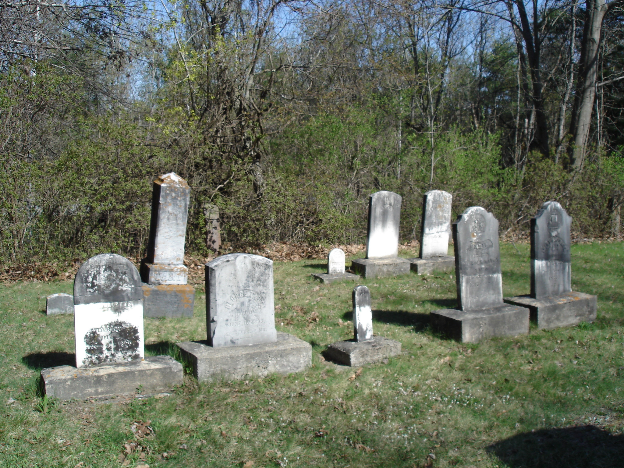 Old Burt cemetery /  Cimetière Old Burt - Près de Essex, NY- USA.  23 avril 2010