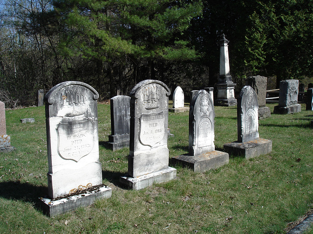 Old Burt cemetery / Cimetière Old Burt