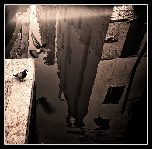flying over delusion