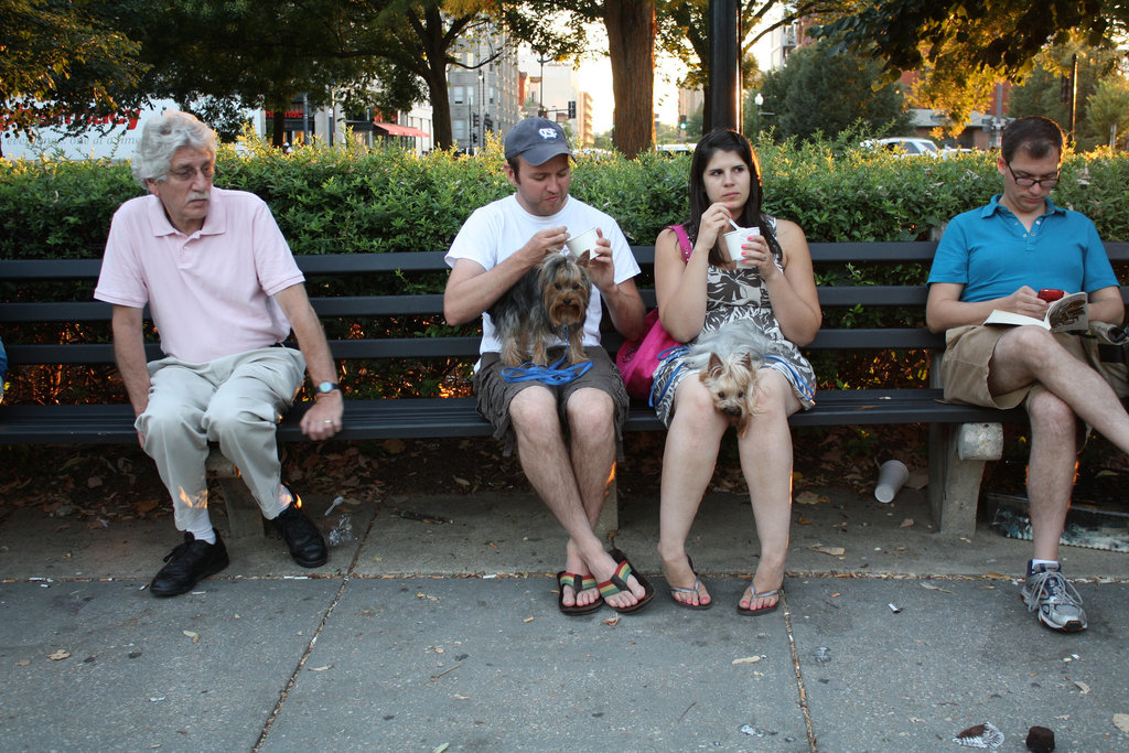 29.DupontCircle.WDC.2July2010