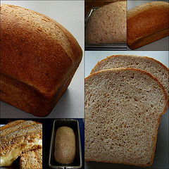 Open Top Pan Bread