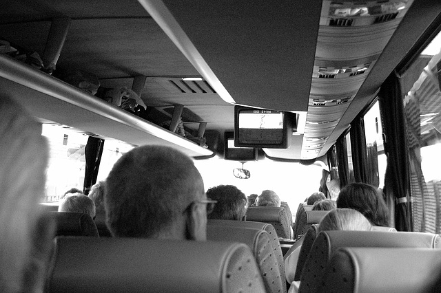 busveturo