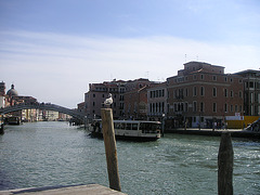 Venecia