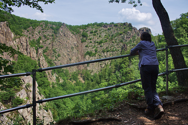 Das Bodetal mit Blick zur Rosstrappe