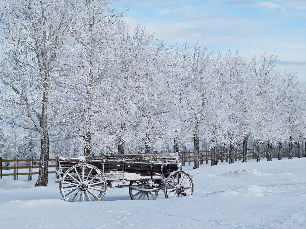 Frosted history