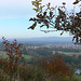 Blick vom Münchshofener Berg