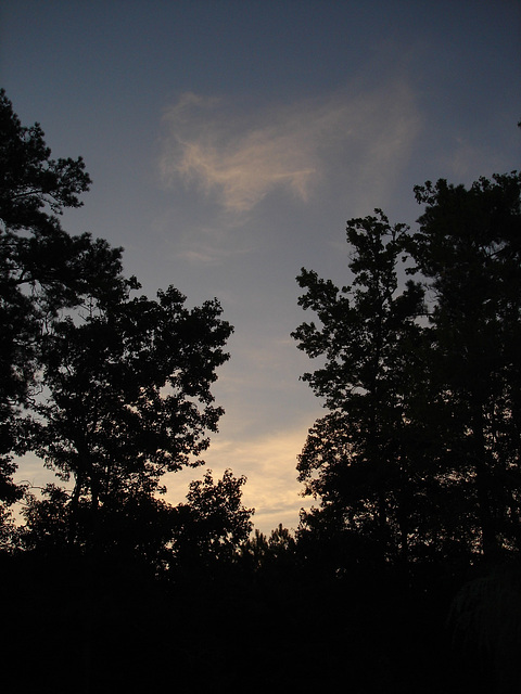 Lever de soleil / Sunrise - Pocomoke, Maryland. USA - 18 juillet 2010