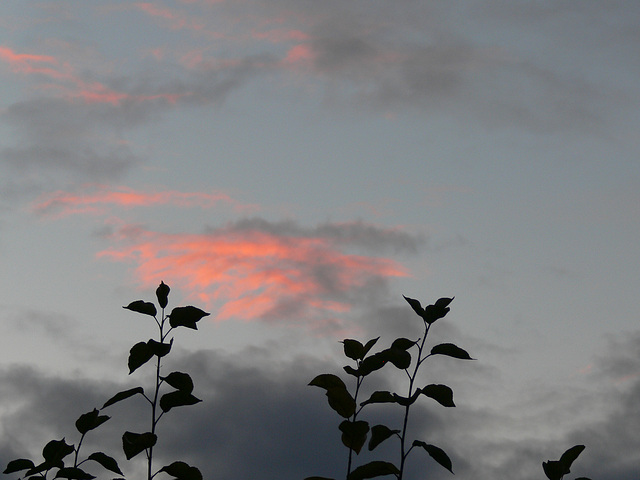 herbstliches Abendrot