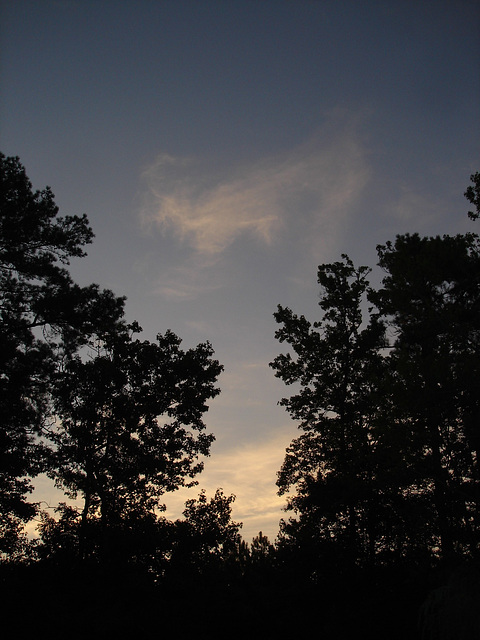 Coucher de soleil / Sunset - Pocomoke, Maryland. USA - 18 juillet 2010