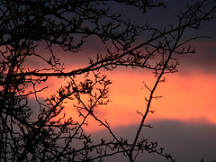 Oberpfälzer Abendrot