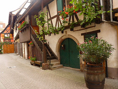 Obernai-Alsacia (4)