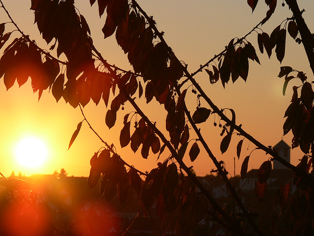 Sonnenuntergang - Sunset