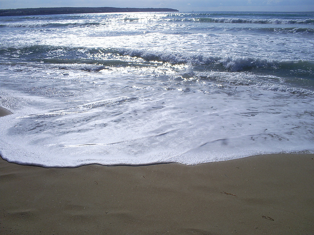 Lengua de mar. Mallorca