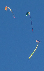 Skydivers (1314)
