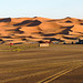 Early Evening Shadows on the Dunes