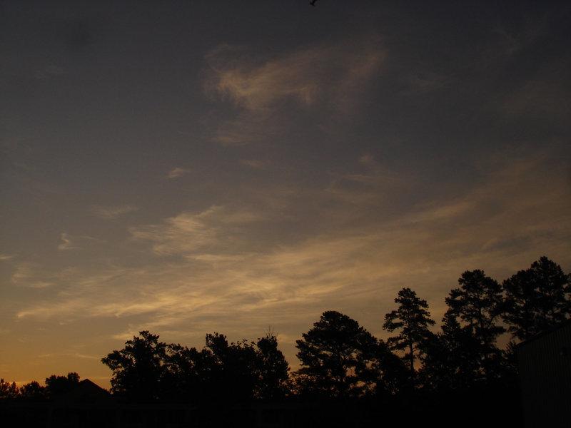 Coucher de soleil / Sunset - Pocomoke, Maryland. USA - 18 juillet 2010 - Option coucher de soleil