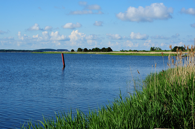 Am Hafen von Breege