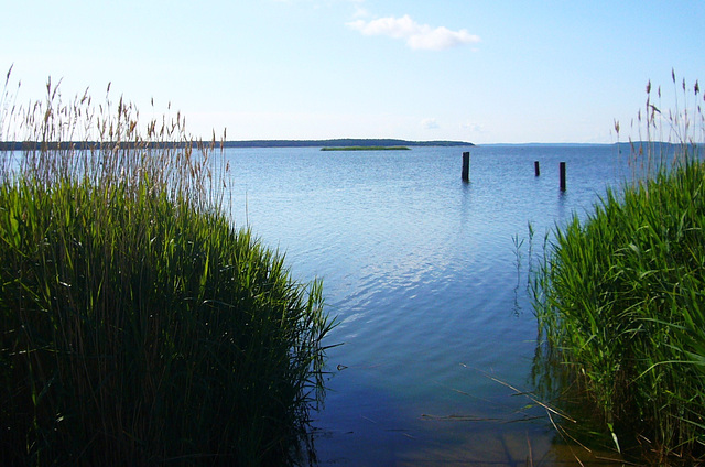 Am Hafen von Breege