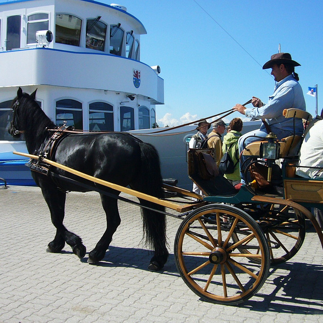 Insel-Kutschfahrten