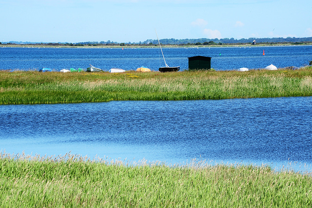 Vitter Bodden