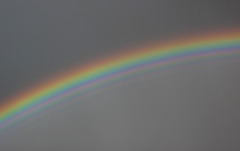 Double Rainbow (1123)