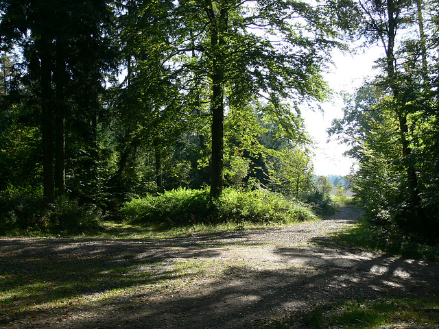 Weggabelung am Schwarzer Berg