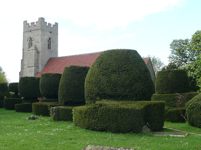 borley church, essex, c16 tower, c11 nave. great topiary, locked church