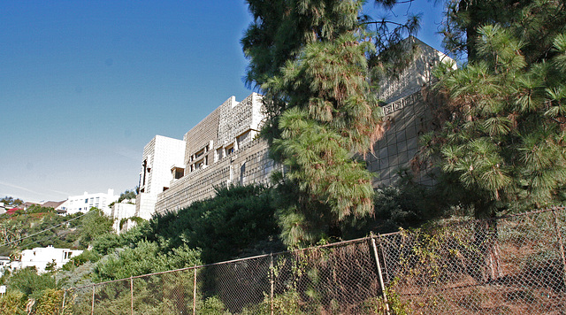 Ennis House (7635)