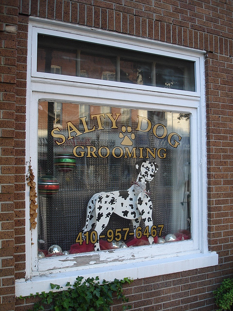 Salty dog grooming window / Fenêtre canine