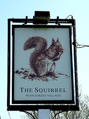 'The Squirrel'