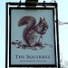 'The Squirrel'