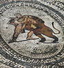 Volubilis- Mosaic- Heracles Fighting a Lion