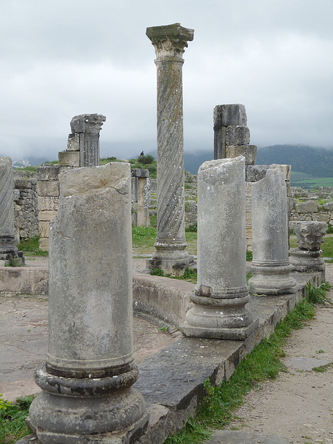 Volubilis- Columns