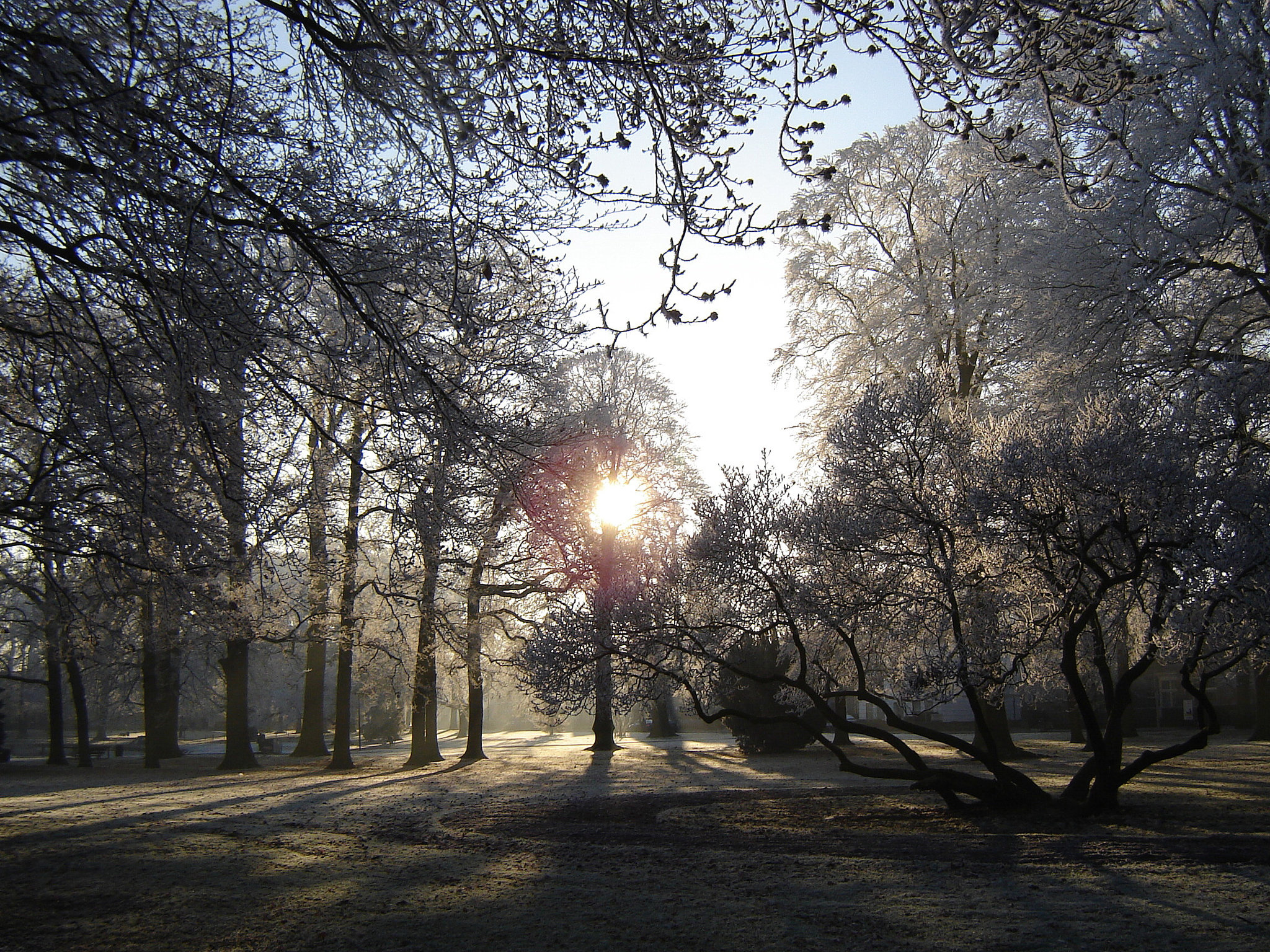 Nederland - Apeldoorn, Oranjepark