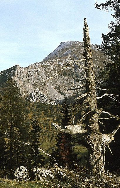 BGL 0128 77w Berchtesgaden, Alm, Schneibstein