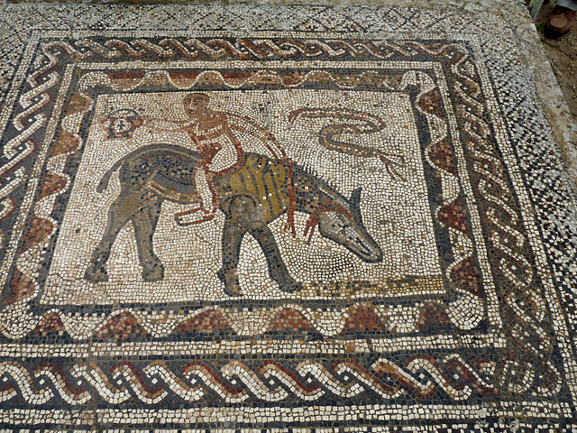 Volubilis- Mosaic#1