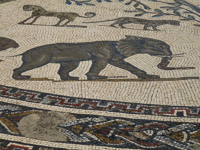 Volubilis- Mosaic #2