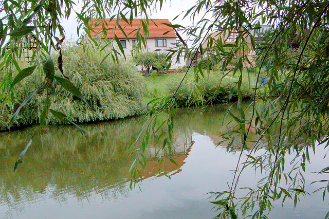 Lagodomo