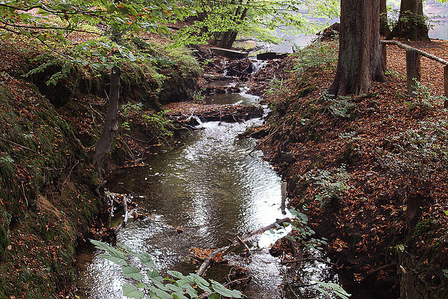 20101013 8457Aaw Donoperteich