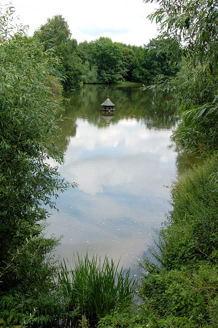 lago kun kadro