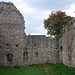 Burg Kallmünz