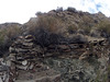 Chuckawalla Bill's (21808)