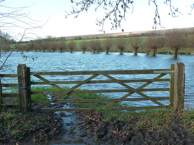 A flooded field